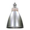 21012025678fa3f55076c.jpeg Lampa wisząca Amy Silver 25cm